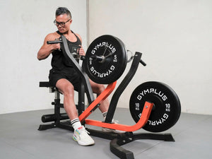 Seated Row/Chest Pull Machine with Independent Arms