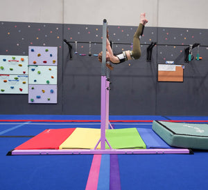 Value Combo Advanced Gymnastic Horizontal Bar Long Base Training Bar + Gym Mat (Purple)