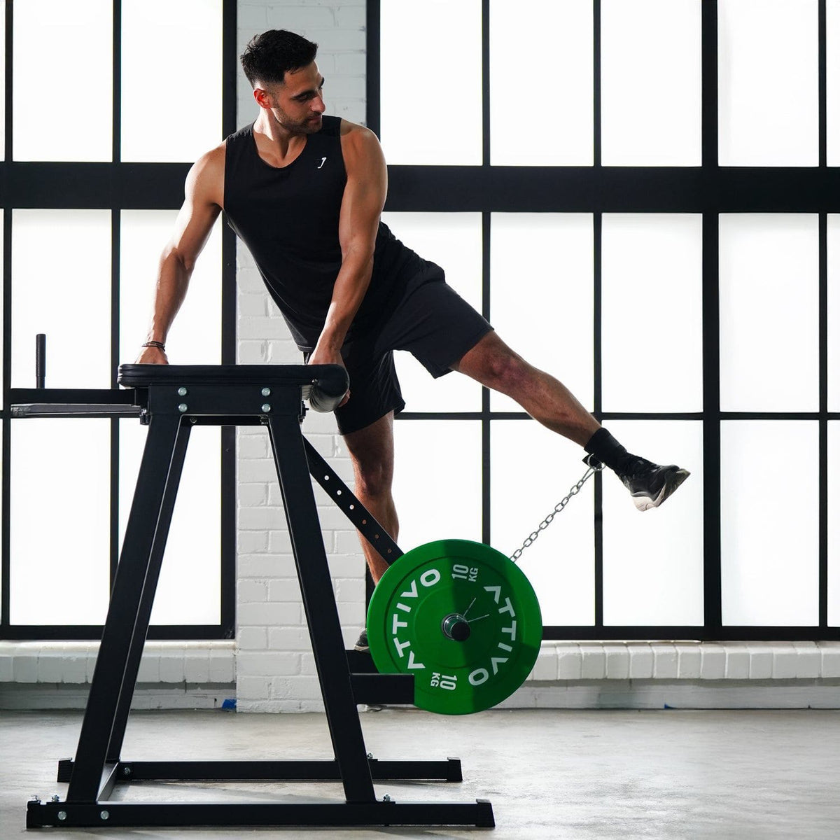 ATTIVO Reverse Hyperextension