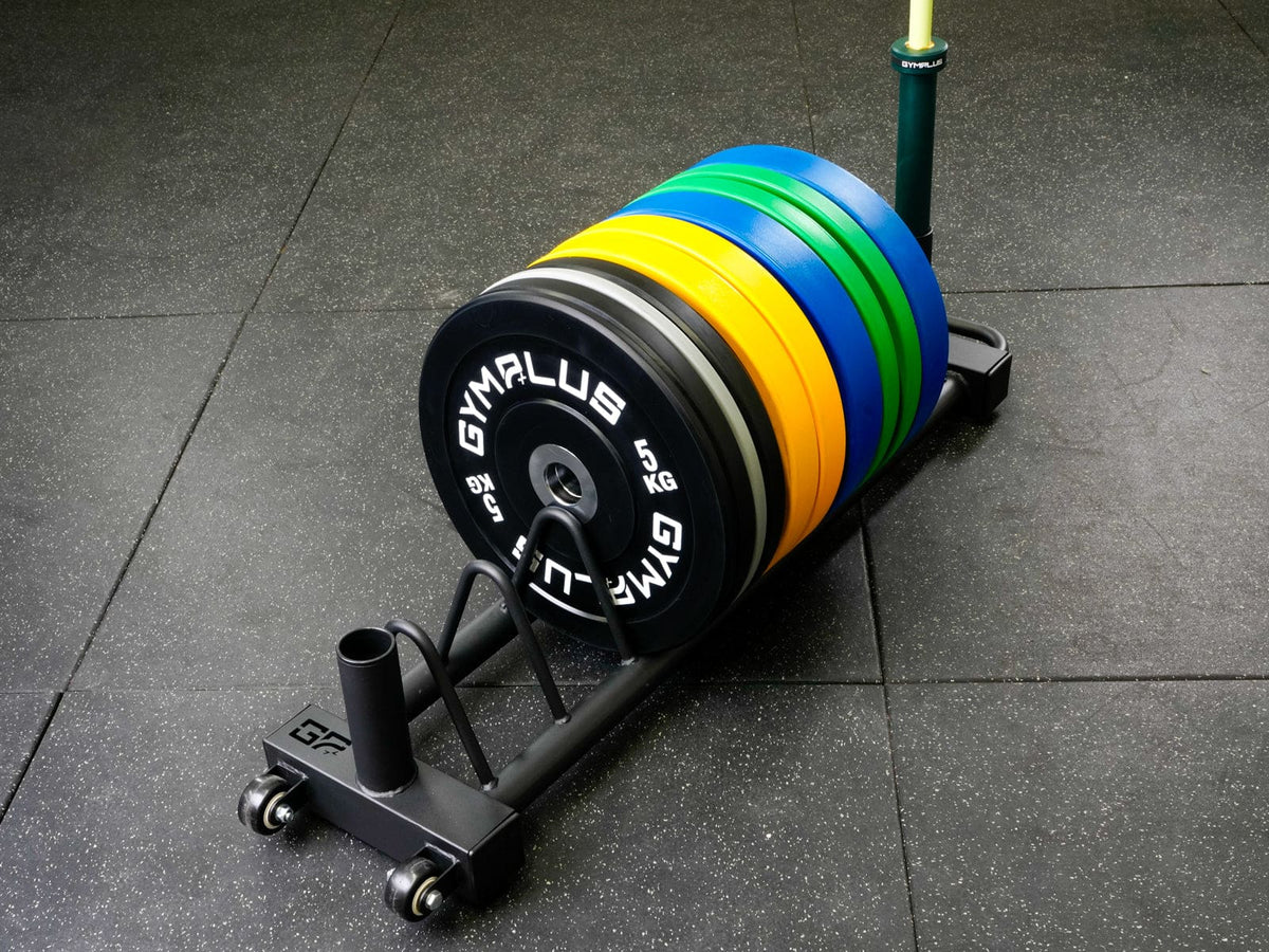 Weight Plate Rack and Barbell Stand