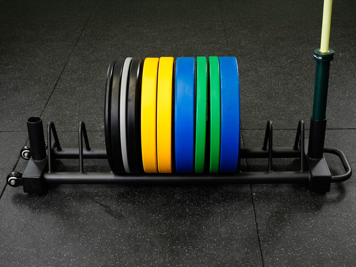 Weight Plate Rack and Barbell Stand