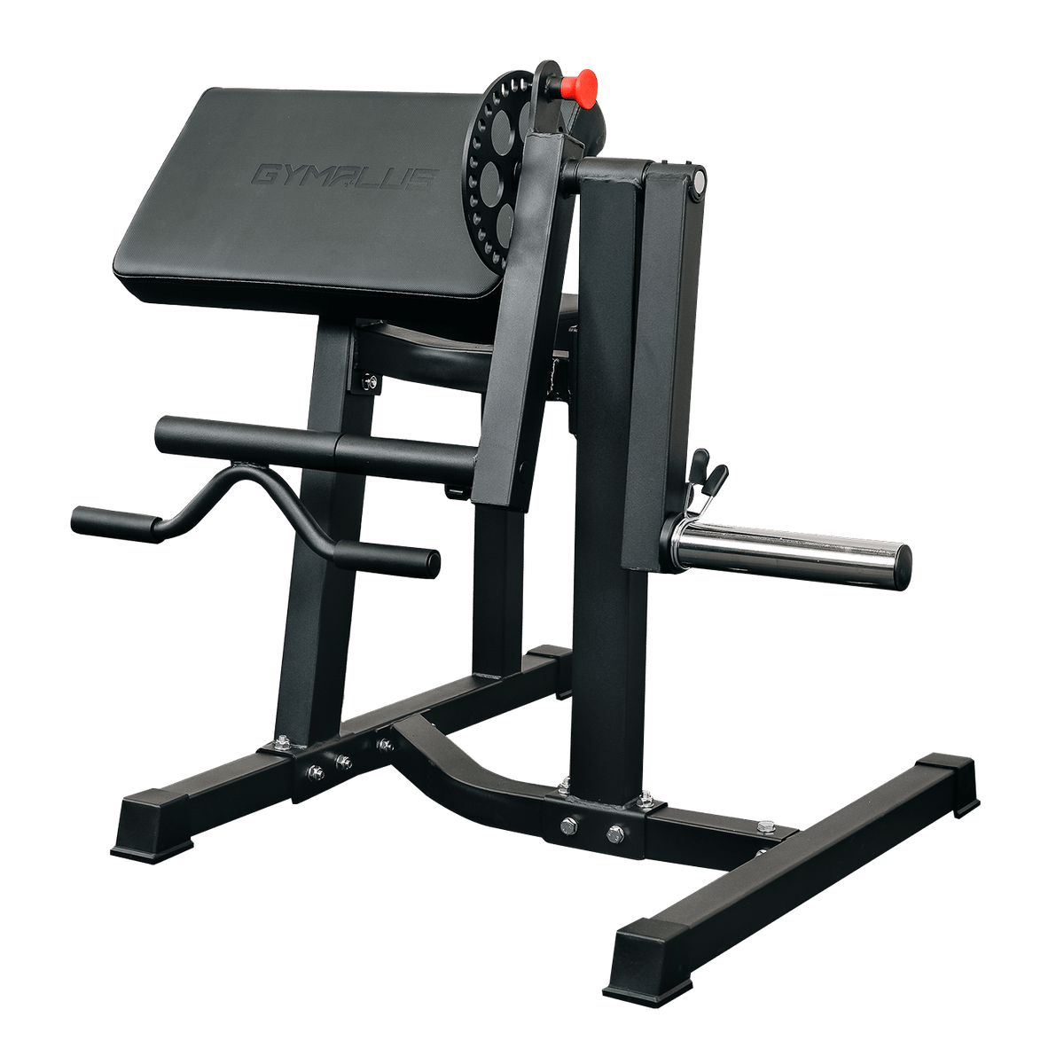 Preacher Arm Curl Biceps and Triceps