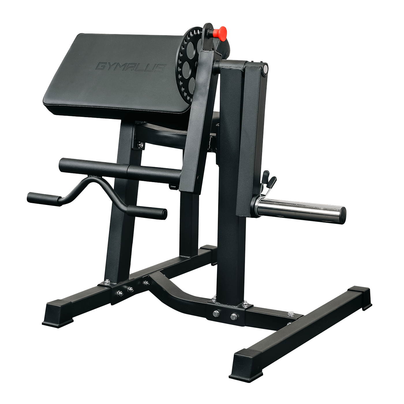 Preacher Arm Curl Biceps and Triceps