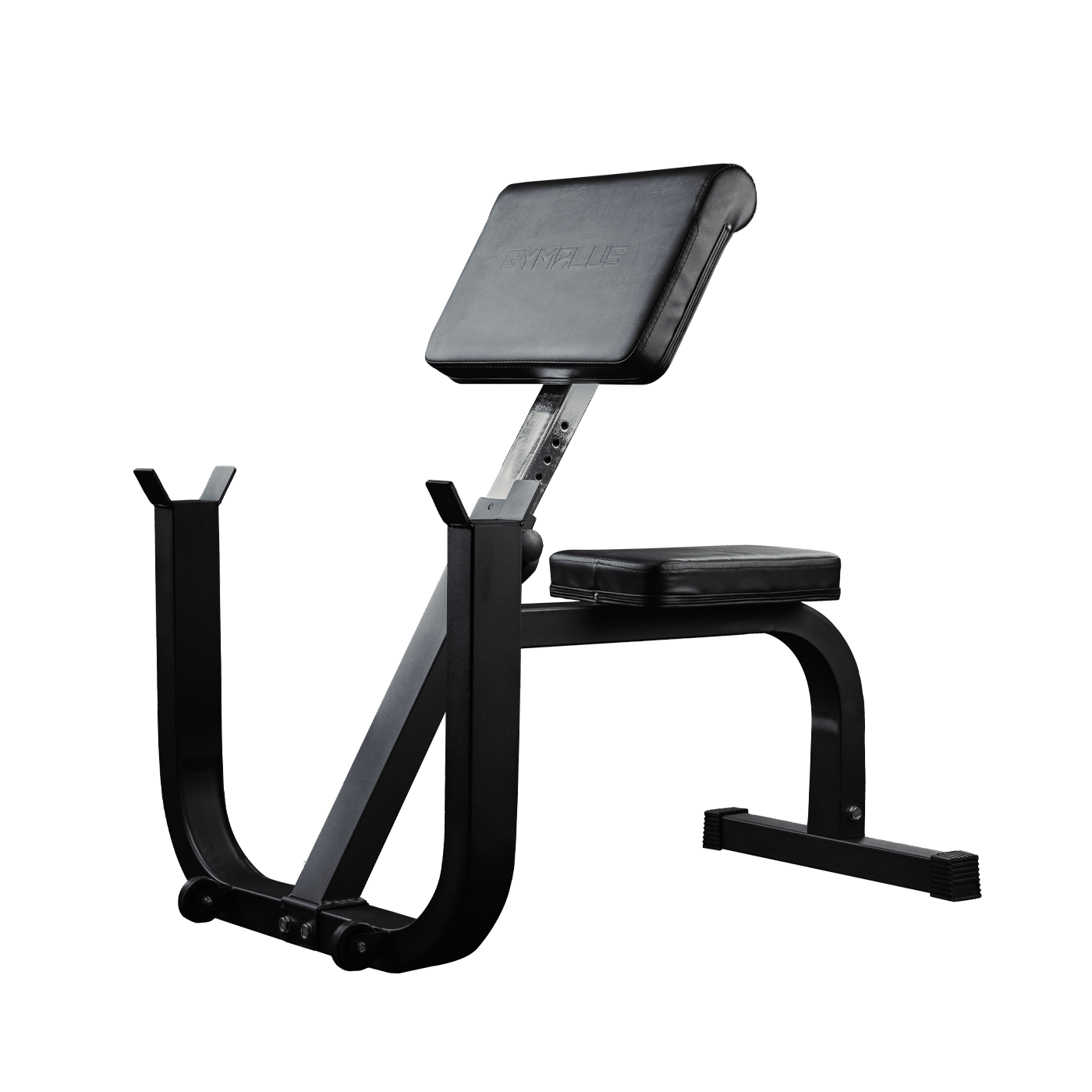 Preacher Curl Bench