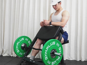 Preacher Curl Bench