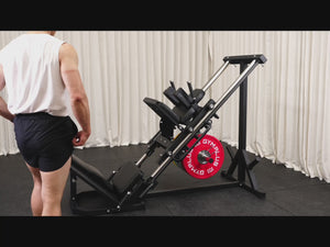 Leg Press & Hack Squat (Blemish)