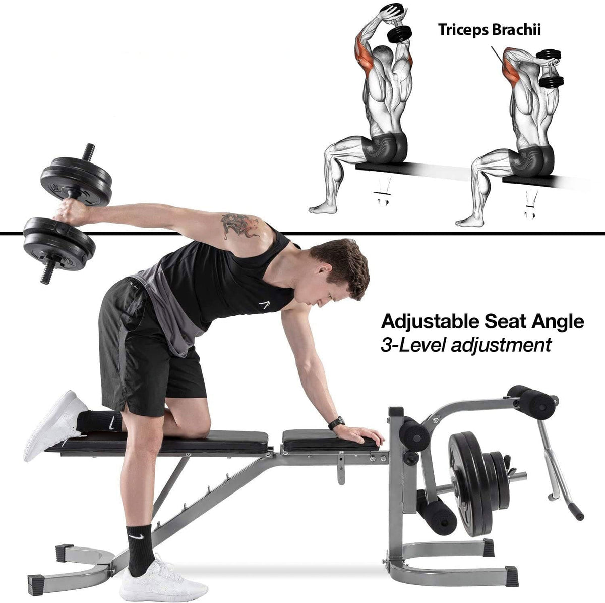 Adjustable Olympic Weight Bench with Preacher Curl Pad