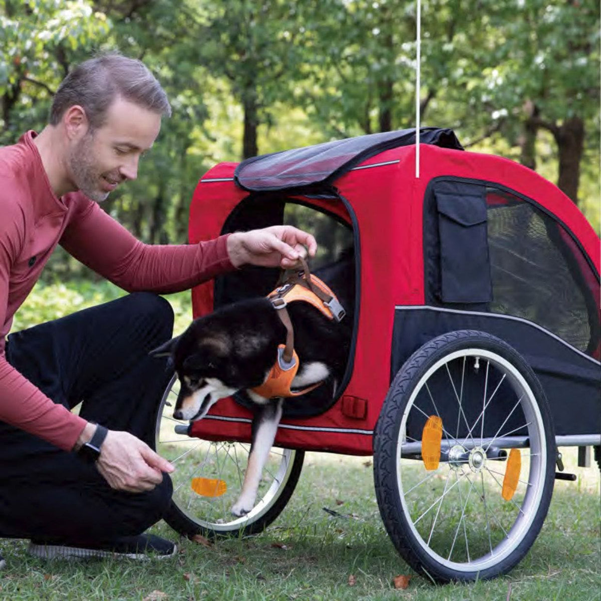 Dog bike trailer online kmart