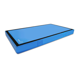 Premium 20cm Thick Non-Folding Tumbling Mat Gymnastic Practice Mat 260x150x20cm