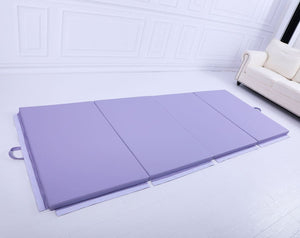 Value Combo Advanced Gymnastic Horizontal Bar Long Base Training Bar + Gym Mat (Purple)