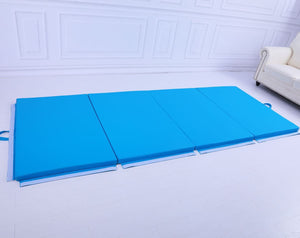 Value Combo Advanced Gymnastic Horizontal Bar Long Base Training Bar + Gym Mat (Blue)